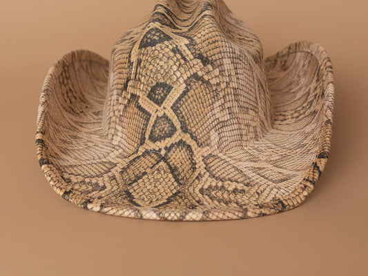 Texana Mónica
